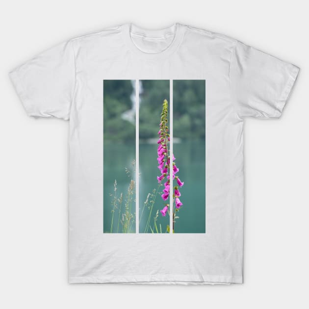 Wonderful landscapes in Norway. Blooming colorful lupine flowers in Norway in the wild grass. Blur background. Summer cloudy day(vertical) T-Shirt by fabbroni-art